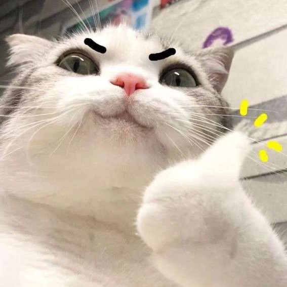 疯言疯语