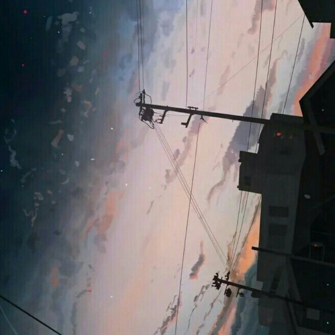 藏书语录