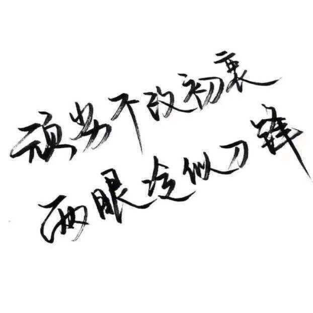 北望星