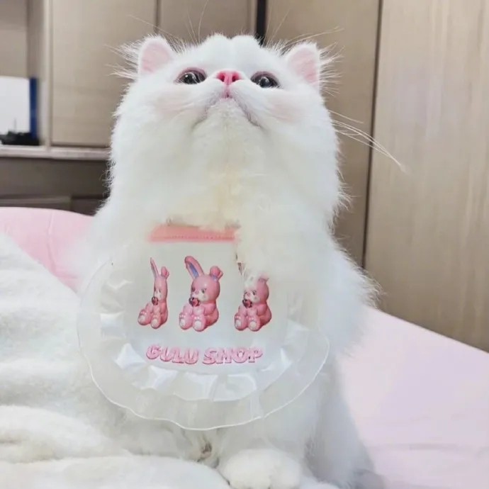 作文