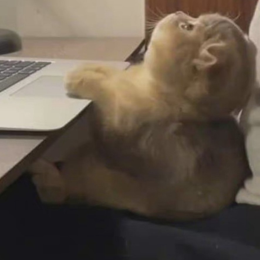 吧唧的专辑