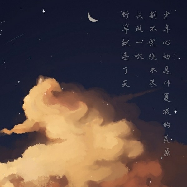 。。。。。