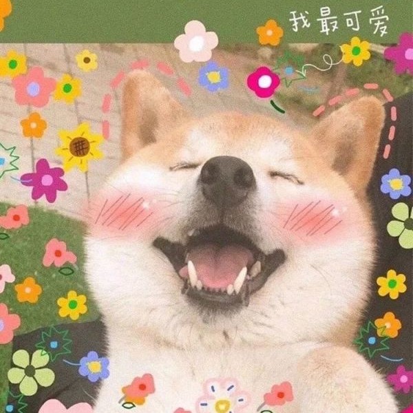 我喜欢的(｡･ω･｡)ﾉ♡