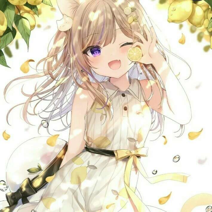 小说