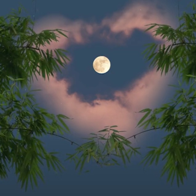 生活