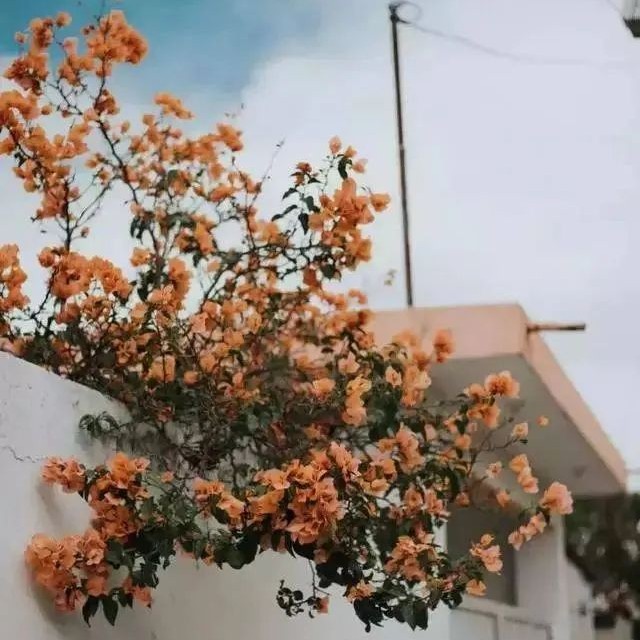 热烈