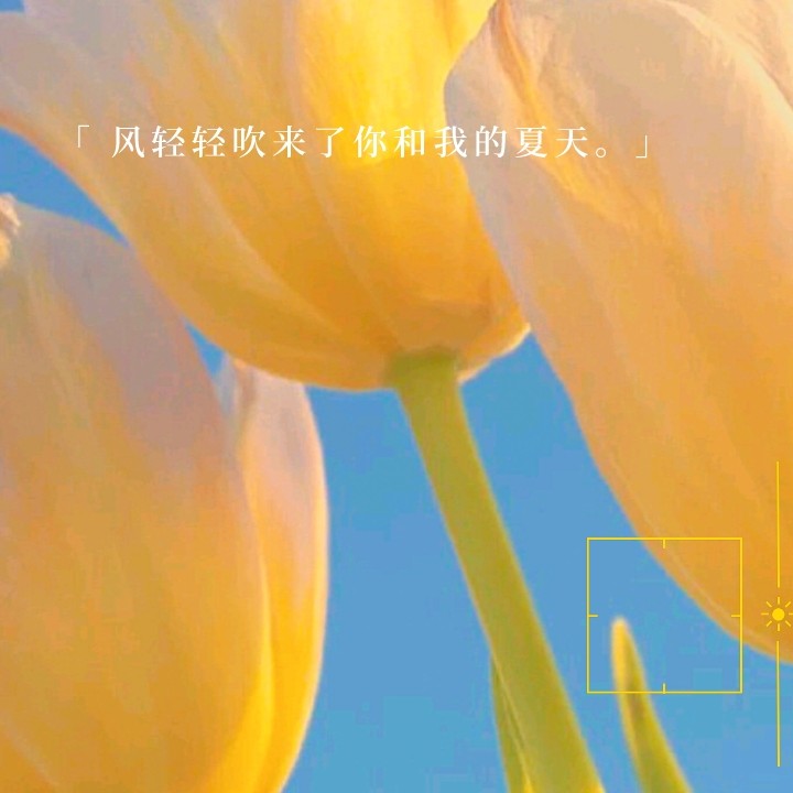 夕颜的专辑