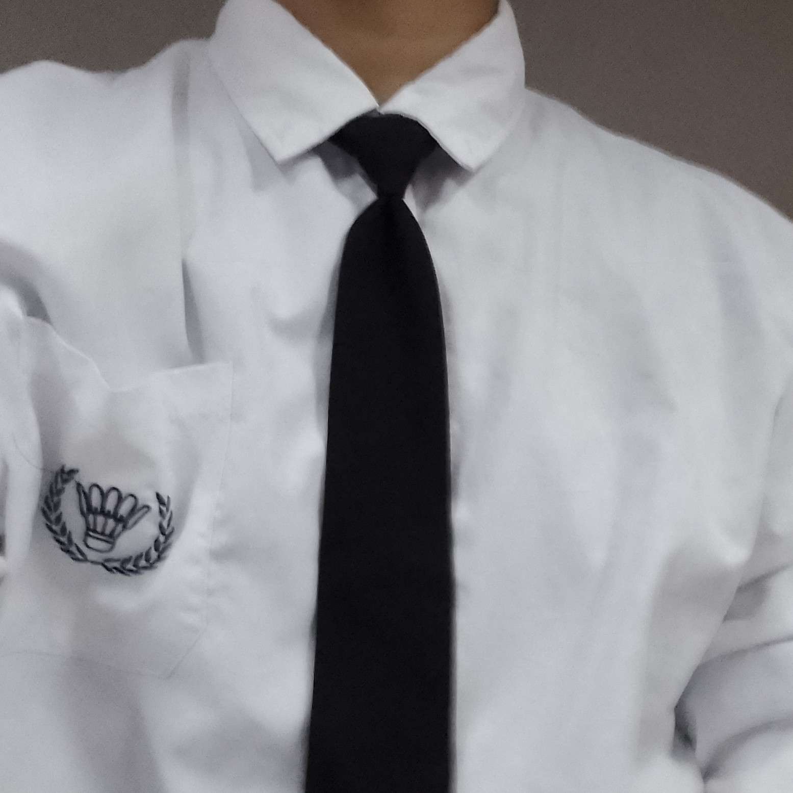 黎野的专辑