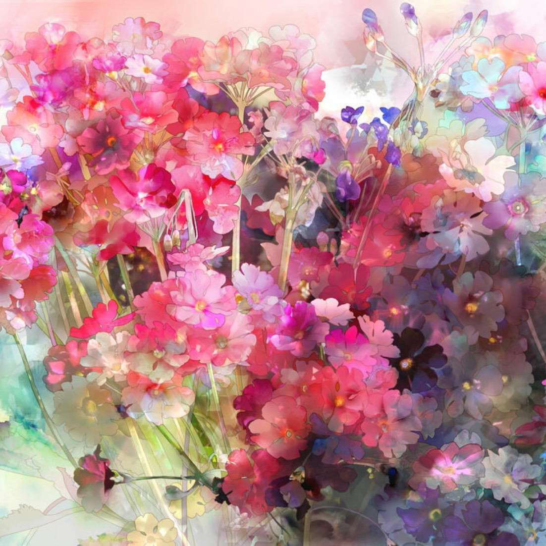 花的独白