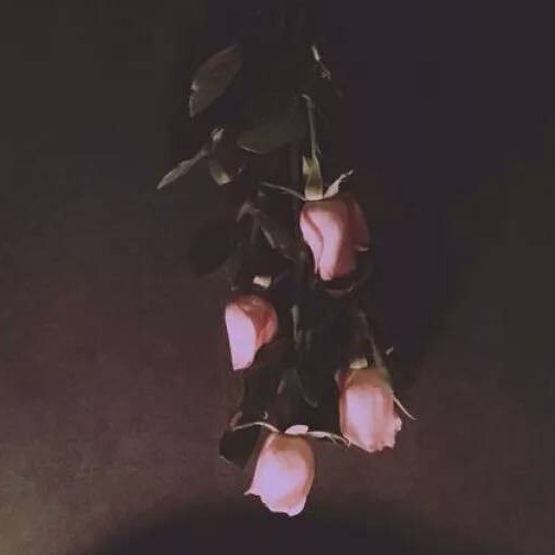 文案