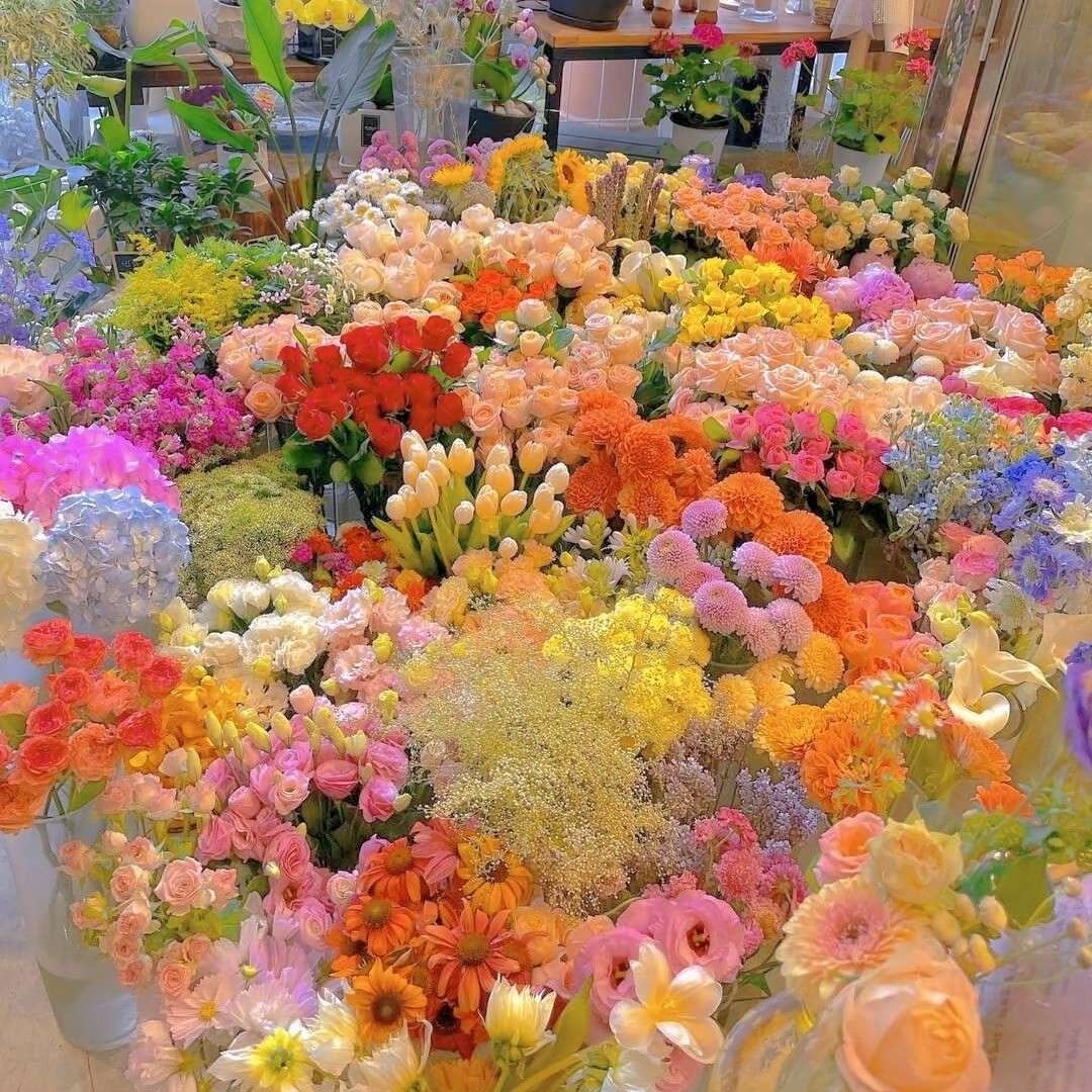 老师都赞赏的高分作文素材