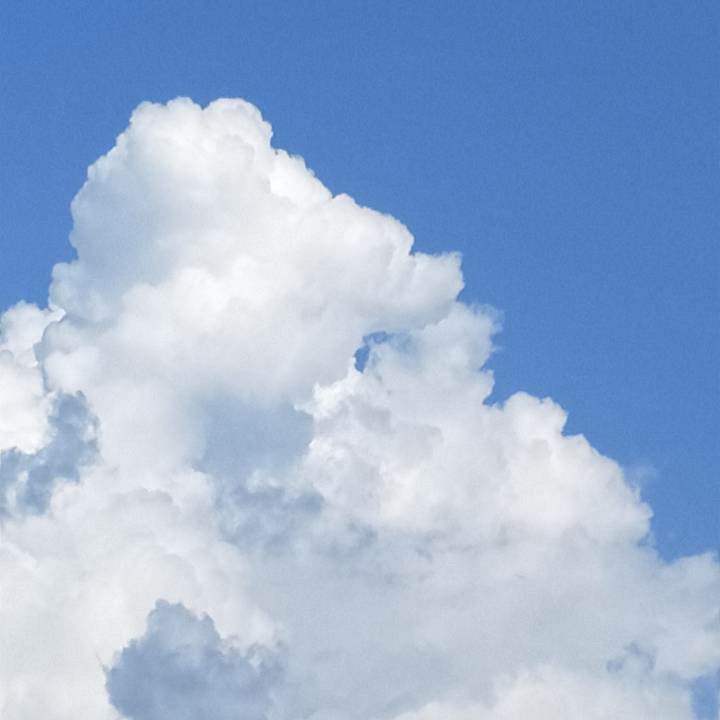 为之所爱