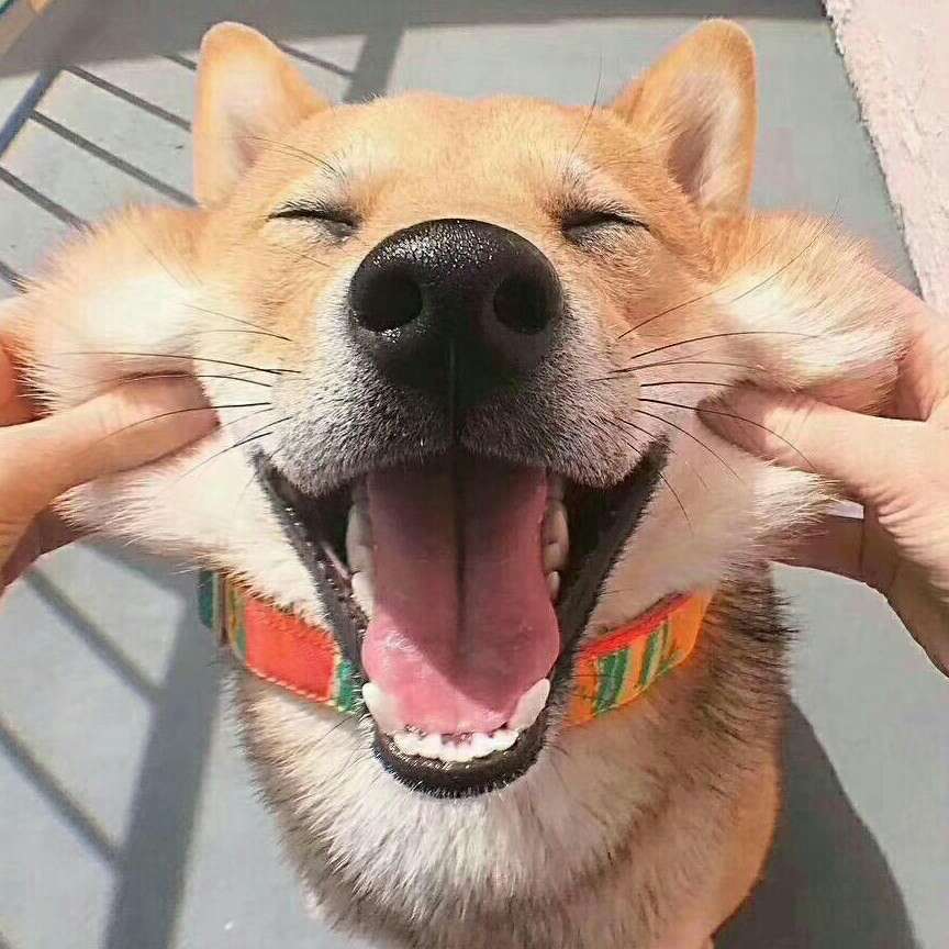 默读
