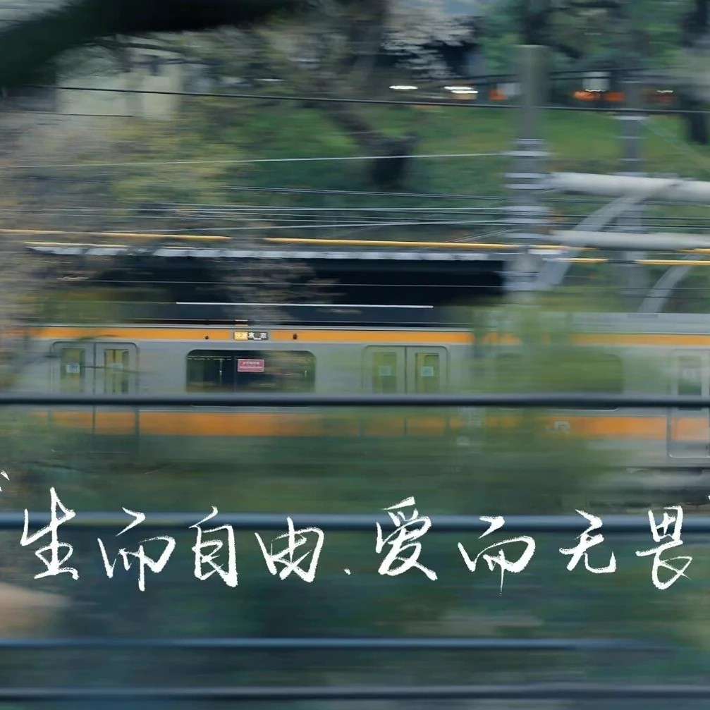 各种啊