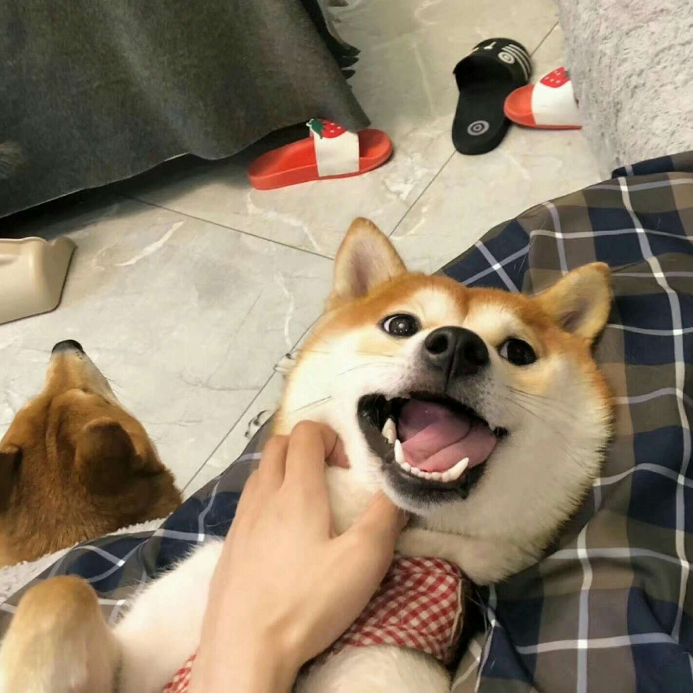 开心时刻