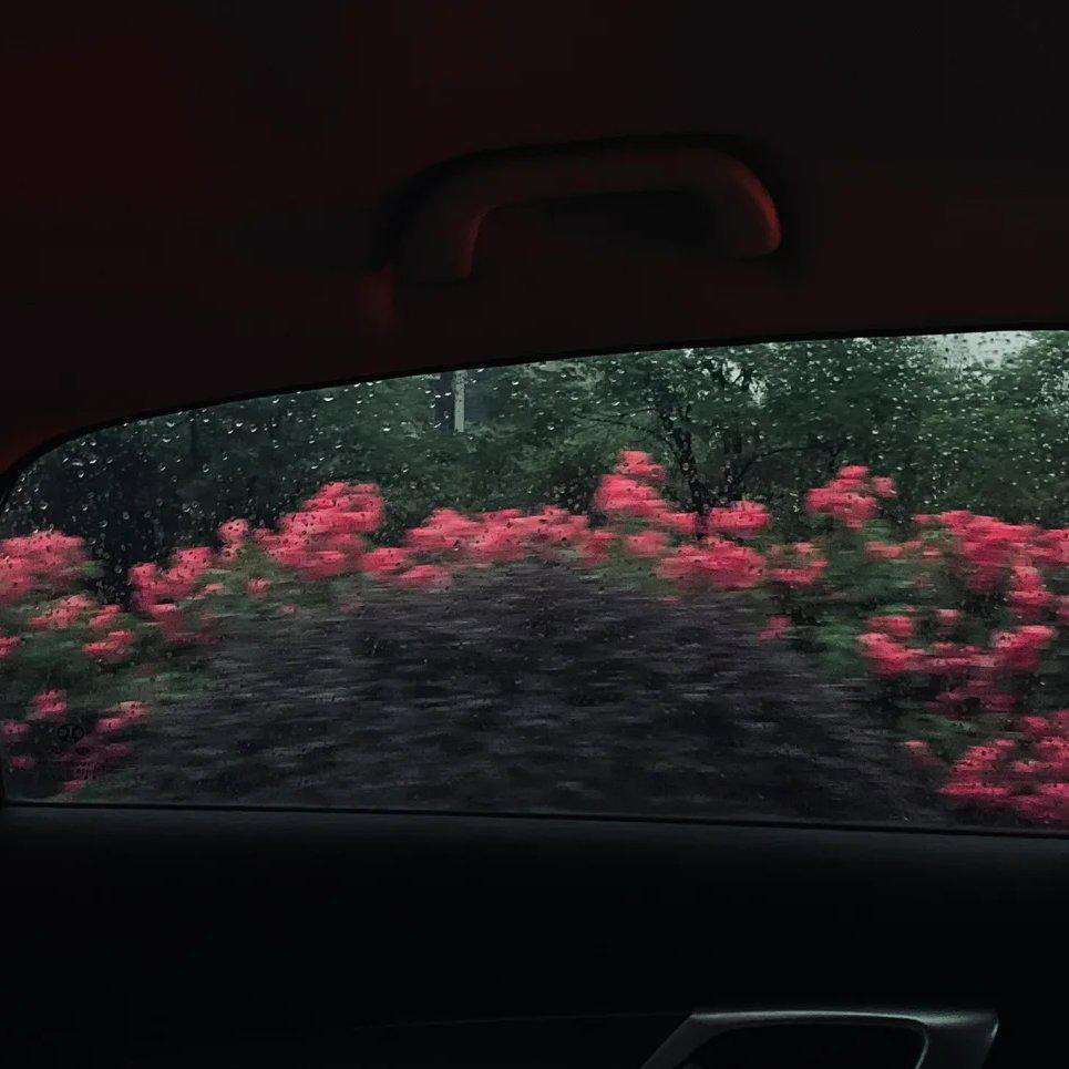 原生家庭