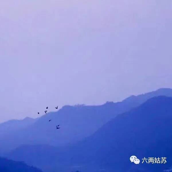 六两姑苏
