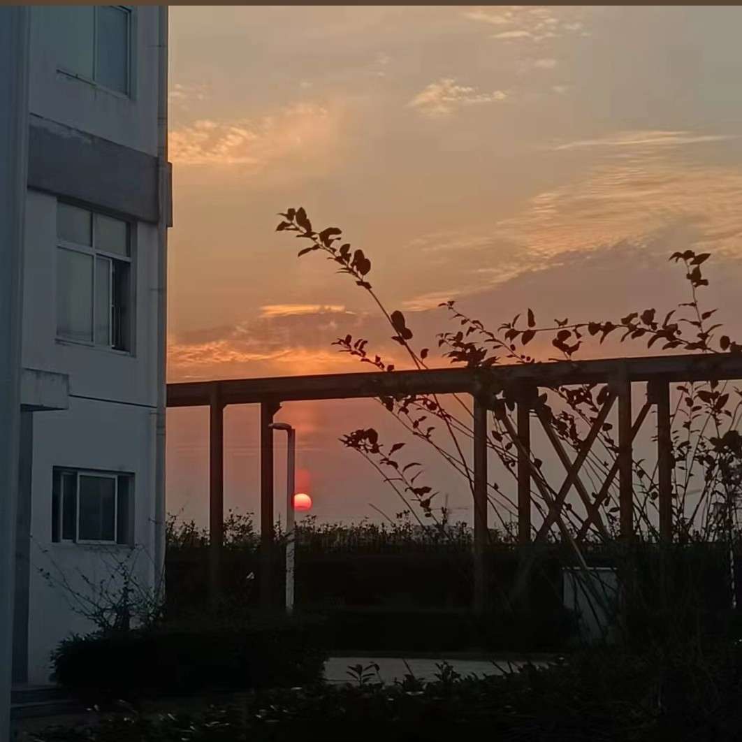 回家