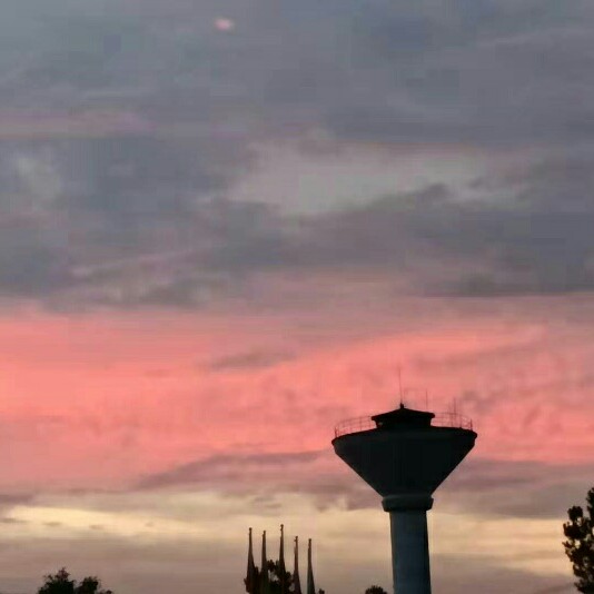 网名
