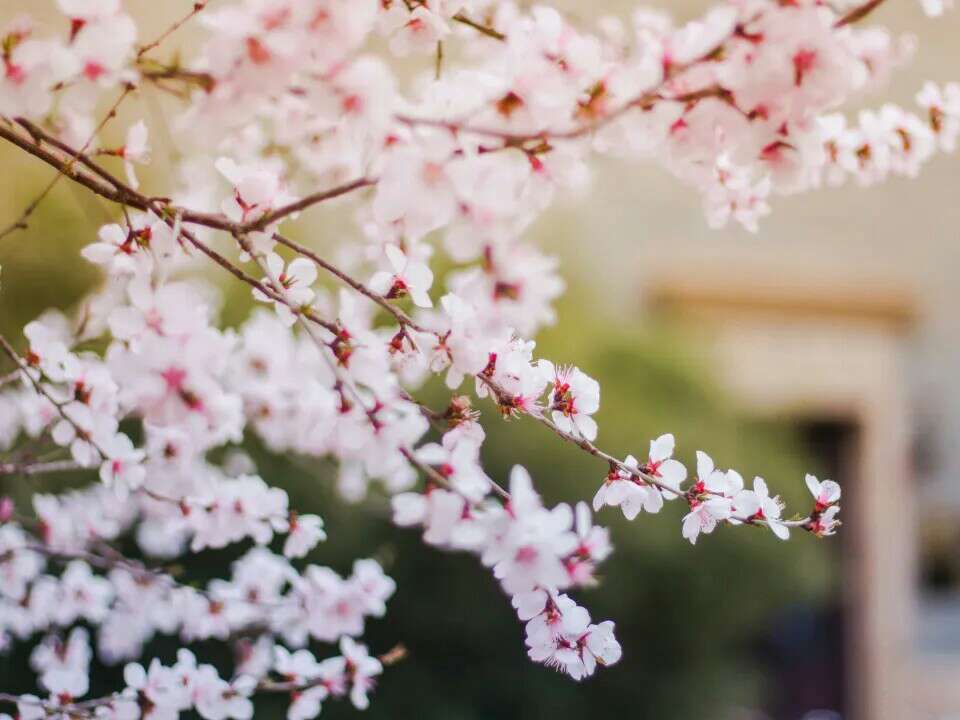 惊艳了时光的影视剧台词