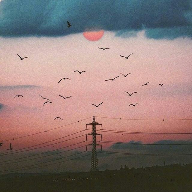 何为可否