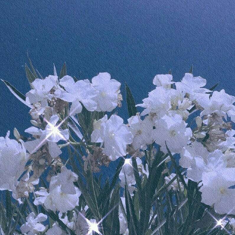 明星语录