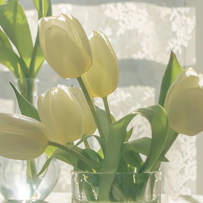 🌷
