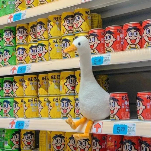 每日一笑