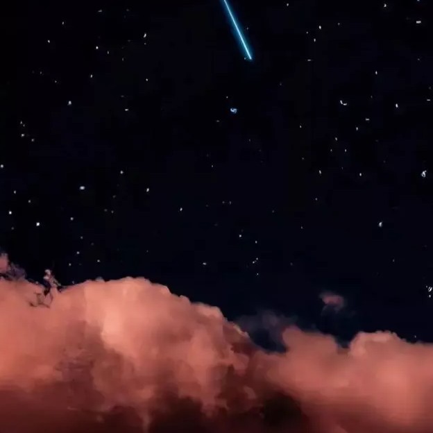 殉