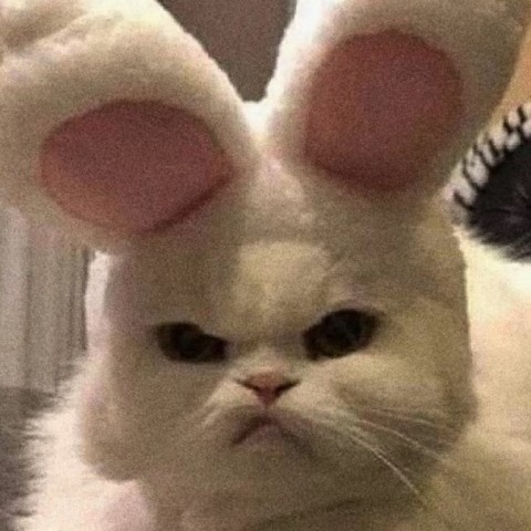 忧酒馆