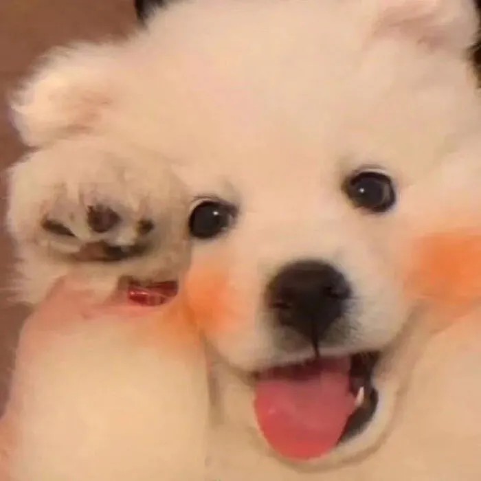 怎么这么搞笑吖