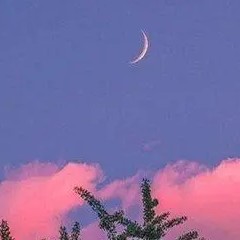 暗恋
