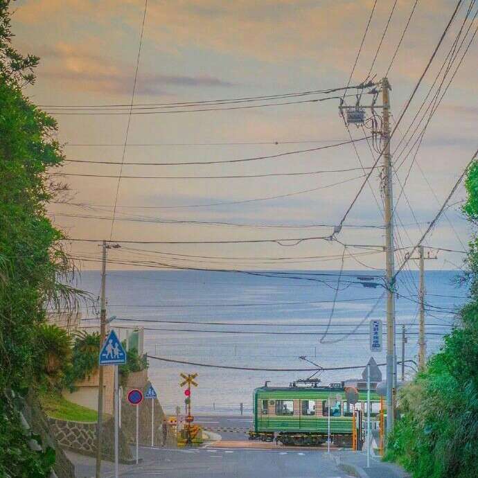 道理