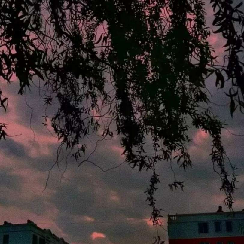 温柔文案