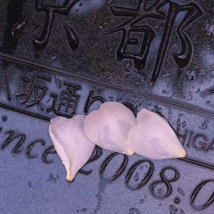 原耽是光