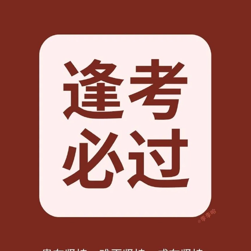 致中考