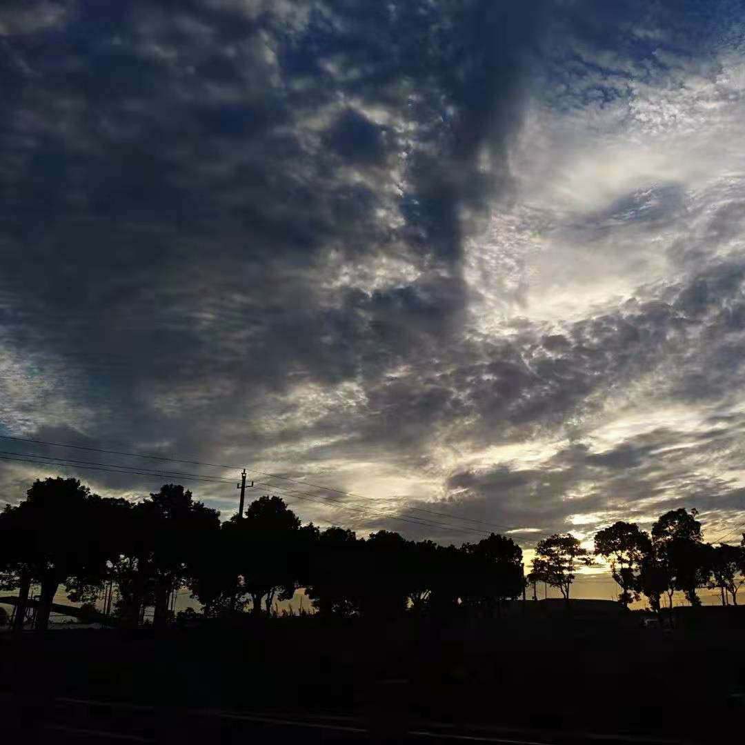 (｡･ω･｡)ﾉ♡