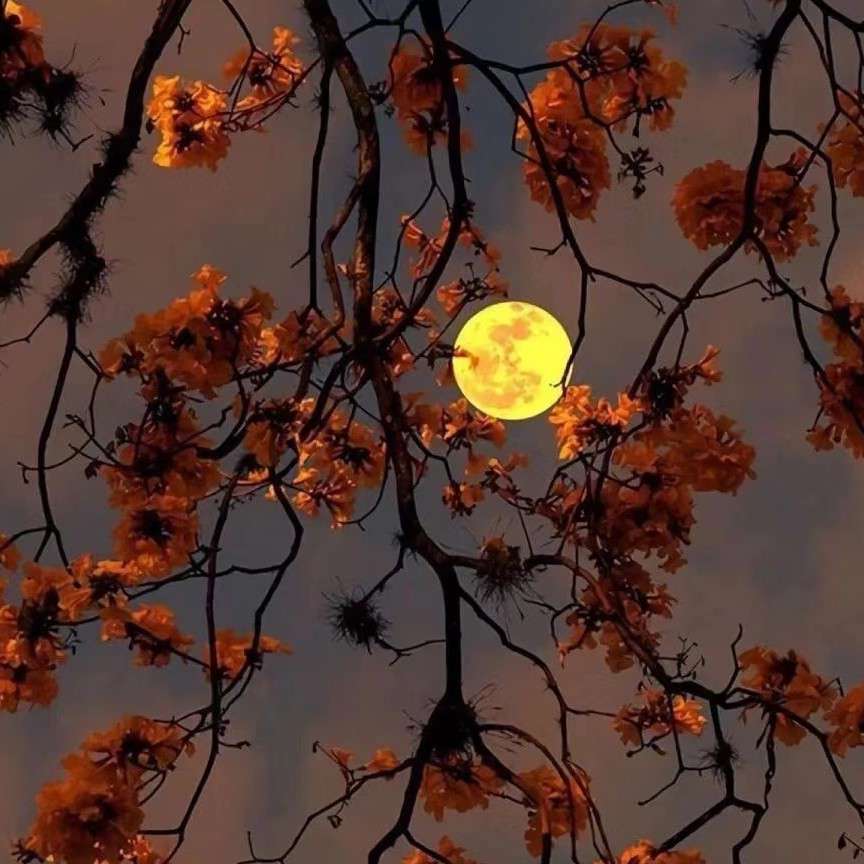 游