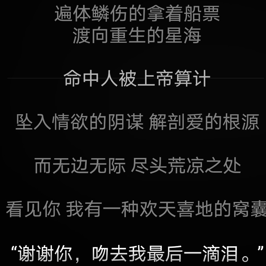 摘录