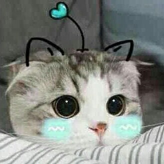 专辑1