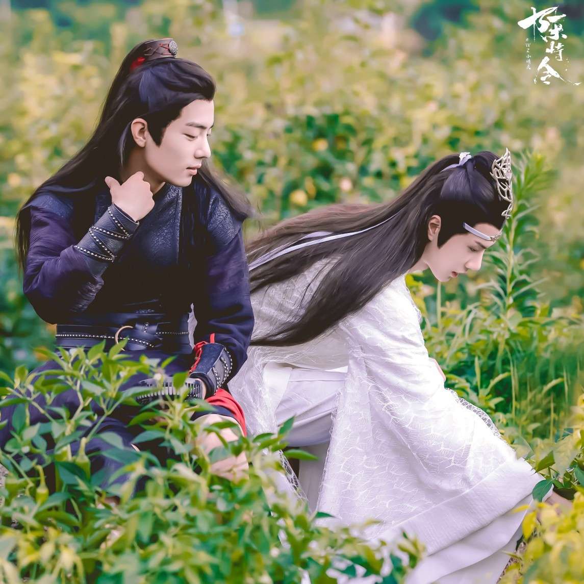 曲尽陈情🎐