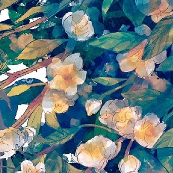 初渡花