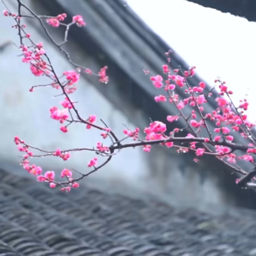 静渊