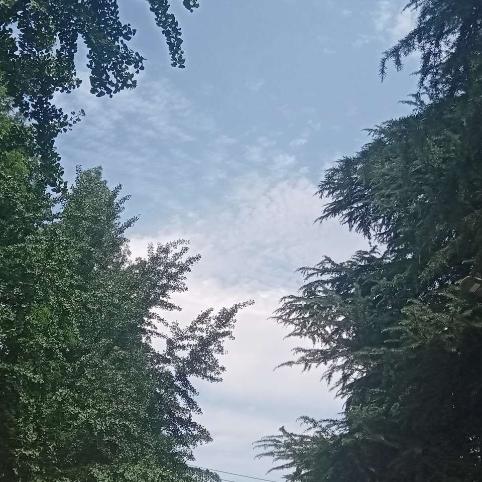 耽美