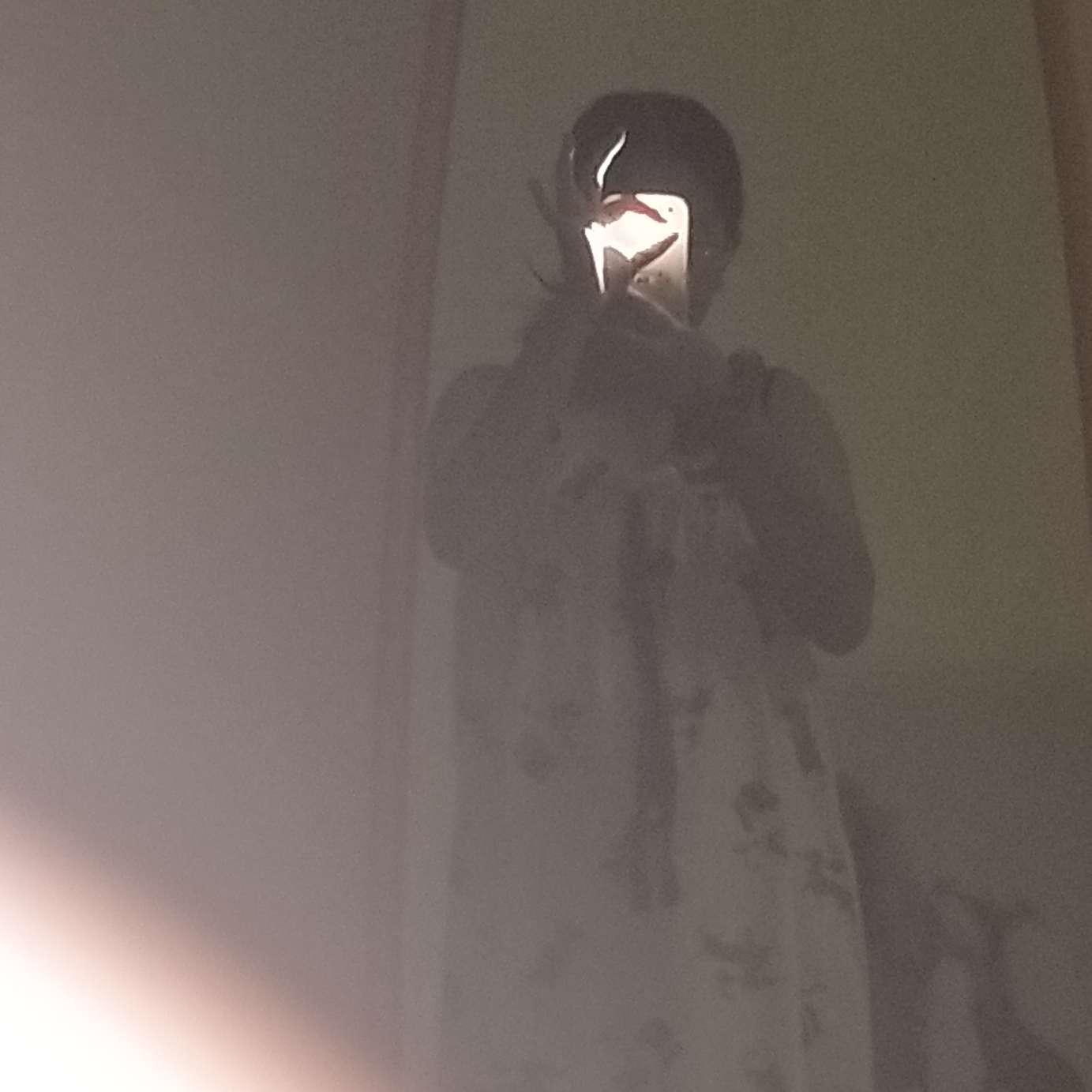 青春专辑