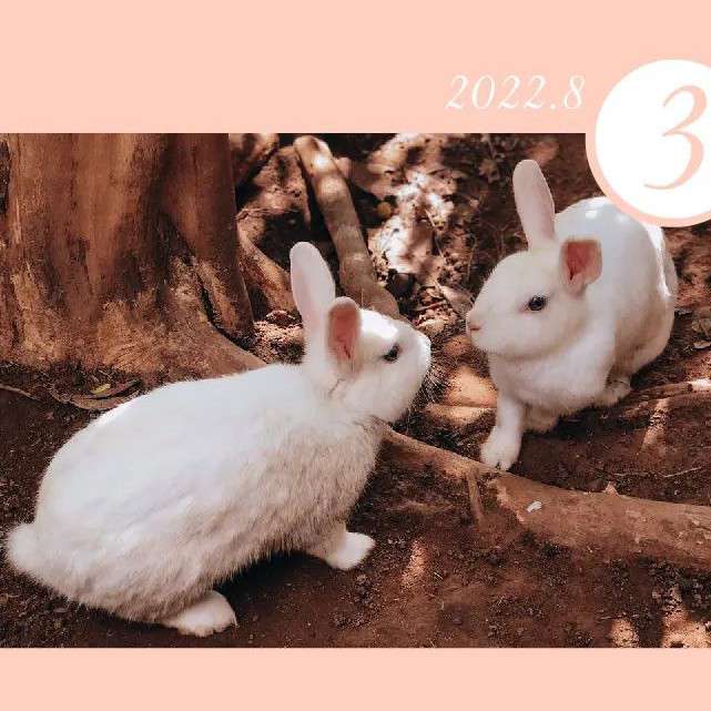 生活故事