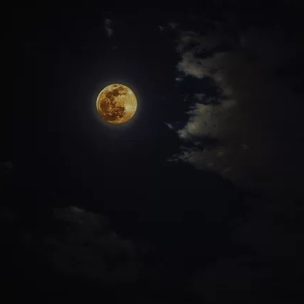 梦后碎笔