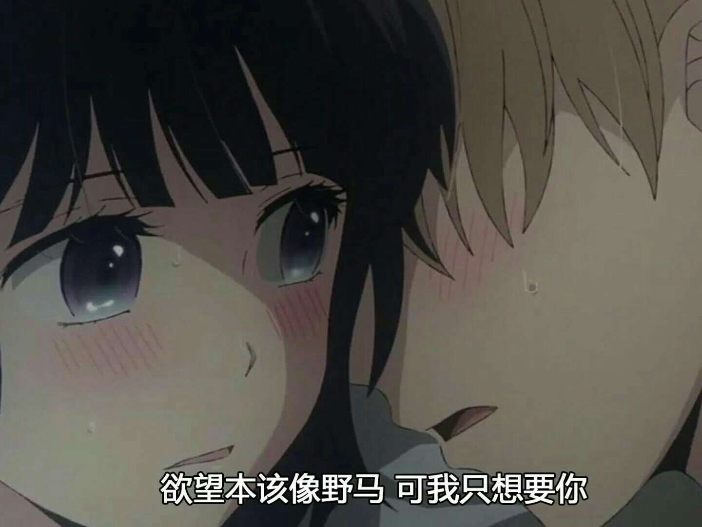一眼心动的句子✨
