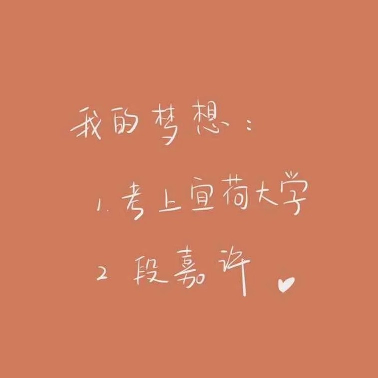 偷偷藏不住
