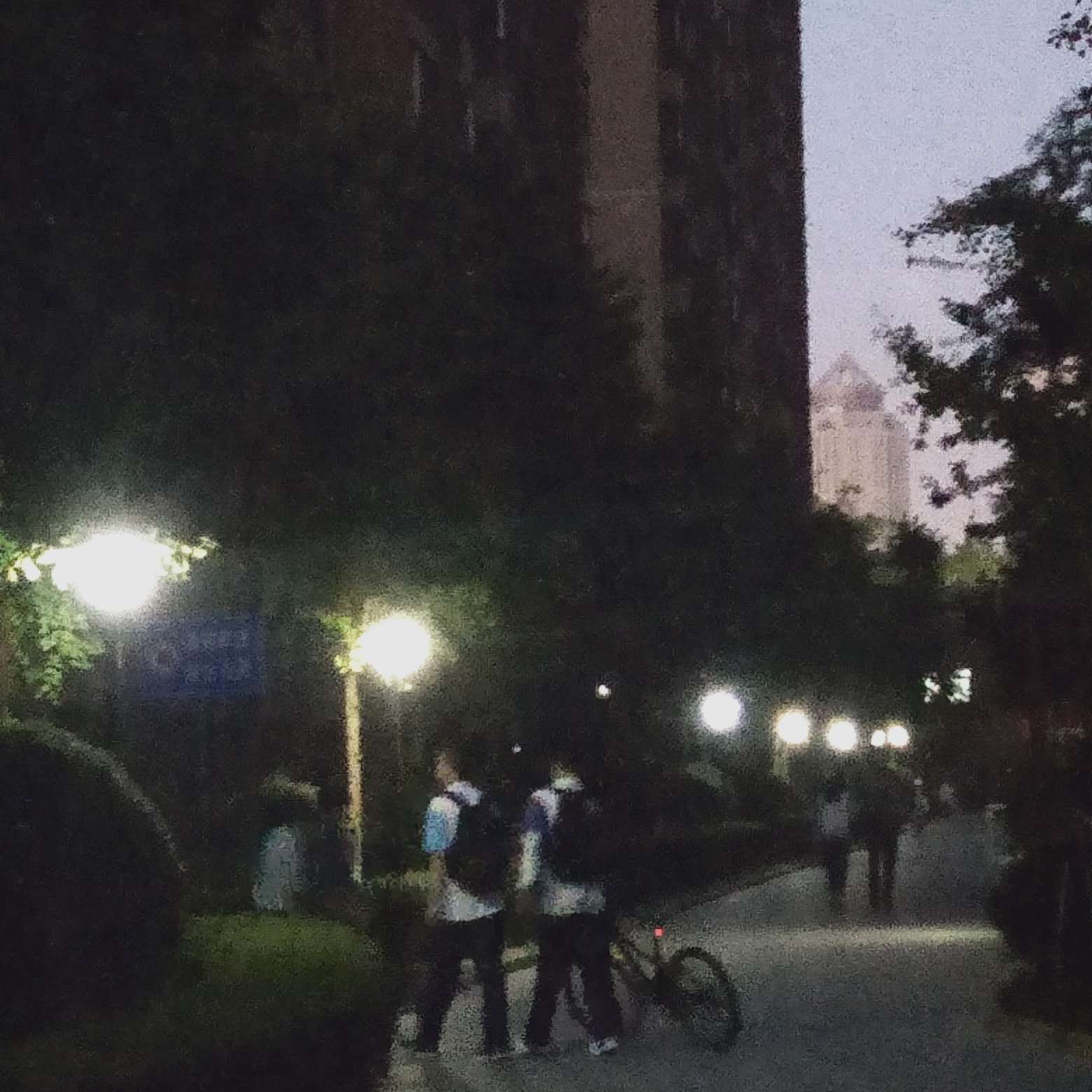 某某